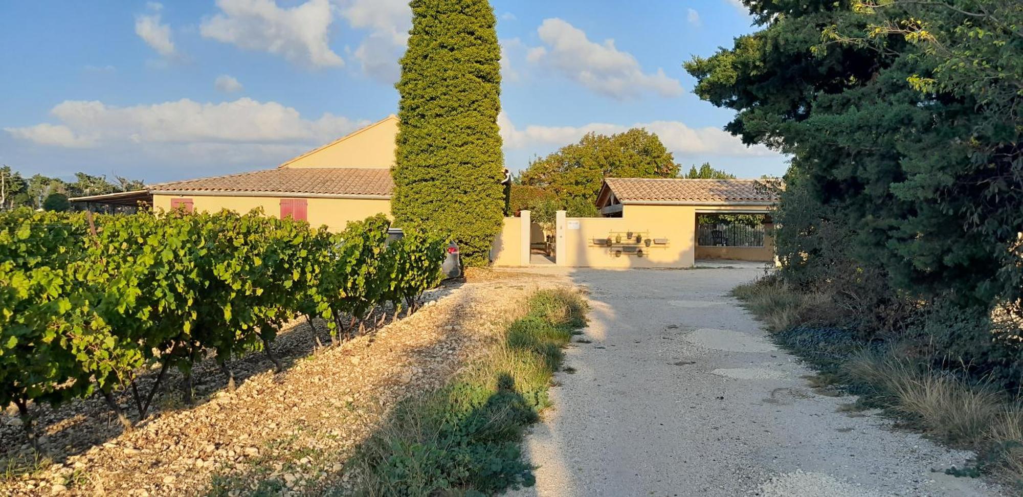 Mas La Gentille ,,, A La Campagne , Beautiful Outdoor , Swimming Pool , Pool House , Nice Green Garden , Bbq ,,, Only For You , Pour Passer Un Sejour Inoubliable Pernes-les-Fontaines Eksteriør bilde